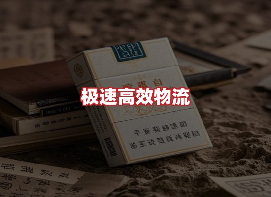专业团队